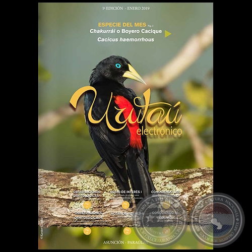 URUTAÚ ELECTRÓNICO - 1° EDICIÓN - ENERO 2019